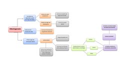 OdontogenesisOdontogenesis
  Inicia en la 6 semana de vida intrauterina  
Inicia e