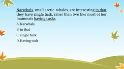 Narwhals, small arctic  whales, are interesting in that 
they have single tusk, raher than two like most ot her 
mammals havi