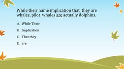 While their name implication that  they are 
whales, pilot  whales are actually dolphins. 
A. While Their 
B. Implication 
C.