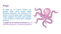 Pulpo
El pulpo es un animal marino muy 
grande. 
Tiene 
varios 
brazos 
largos 
llamados tentáculos, con ventosas en su 
inte