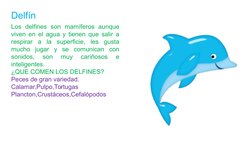 Los delfines son mamíferos aunque 
viven en el agua y tienen que salir a 
respirar a la superficie, les gusta 
mucho jugar y