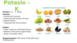 Niveles: 3,5  -  5  mEq/L
Función:
• Contracción muscular
• conducción del impulso nervioso
• balance hídrico
•  regulación d