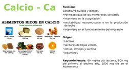 Función:
Constituye huesos y dientes
• Permeabilidad de las membranas celulares
• interviene en la coagulación
• excitabilida