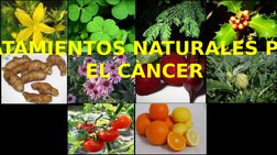 ATAMIENTOS NATURALES P
 EL CÀNCER
