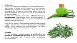 El Àloe Vera
Es muy útil para el tratamiento de múltiples enfermedades, 
sus cristales se utilizan como antisépticos en quema