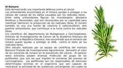 El Romero
Está demostrando una importante defensa contra el cáncer
Los antioxidantes encontrados en el romero ayudan a proteg