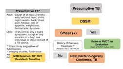 Presumptive TB*
Adult
: 
Cough of at least 2 weeks 
with/ without fever, chills, 
night sweats, back/ chest 
pain, fatigue, l