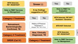 P
Smear (-)
History of Previous 
Treatment ?
(Relapse, TALF, TAF, PTOU)
Yes
No
Retreatment, 
Bacteriologically 
Confirmed, TB