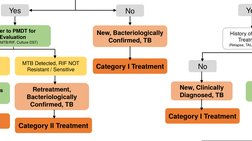 Yes
No
New, Bacteriologically 
Confirmed, TB
er to PMDT for 
Evaluation 
MTB/RIF, Culture DST)
MTB Detected, RIF NOT 
Resista