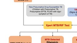 Smear (+)
TB
(Signs &
C
Xpert MTB/RIF Test
MTBNOTDetected
MTB Detected
Rifampicin 
M
New Presumptive Drug Susceptible TB
(Chi