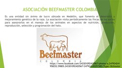 ASOCIACIÓN BEEFMASTER COLOMBIA
Es una entidad sin ánimo de lucro ubicada en Medellin, que fomenta el desarrollo y 
mejoramien