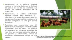 Mansedumbre, 
en 
la 
industria 
ganadera 
moderna se ha comprobado que la docilidad 
del ganado es uno de los parámetros qu