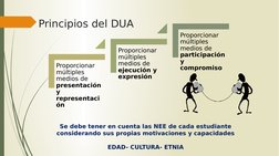 Principios del DUA
Proporcionar 
múltiples 
medios de 
presentación 
y 
representaci
ón
Proporcionar 
múltiples 
medios de 
e