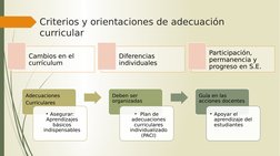 Criterios y orientaciones de adecuación 
curricular
Cambios en el 
currículum
Diferencias 
individuales
Participación, 
perma