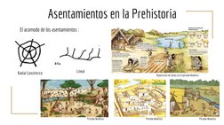 Asentamientos en la Prehistoria
El acomodo de los asentamientos :
Radial Concéntrico
Lineal
Repartición de tareas en el perio