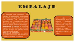 EMBALAJE
El
embalaje
que
contendrá
los
mangos de exportación serán cajas
de cartón corrugado de dos piezas
con
tapadera,
en
d