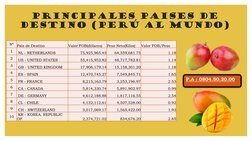 PRINCIPALES PAISES DE 
DESTINO (PERÚ AL MUNDO)
Nº
País de Destino
Valor FOB(dólares)
Peso Neto(Kilos)
Valor FOB/Peso
1
NL - N