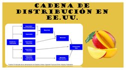 CADENA DE 
DISTRIBUCIÓN EN 
EE.UU.
