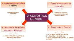 > 500 mL
EN PRIMERAS 24 HS 
POSTPARTO
o
POR ENCIMA OMBLIGO
U OTRAS ENTIDADES CAUSANTES DE 
HEMORRAIA POST PARTO
1° Al ESTIMUL