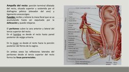 Que Significa Recto Anatomía del Recto y Ano | PDF | Recto | Pelvis