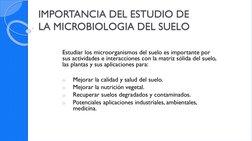 IMPORTANCIA DEL ESTUDIO DE LA MICROBIOLOGIA DEL SUELO
LA MICROBIOLOGIA DEL SUELO
Estudiar los microorganismos del suelo es im