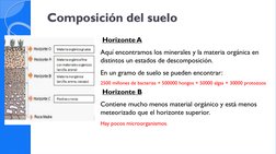 Composición del suelo 
Horizonte A
Aquí encontramos los minerales y la materia orgánica en 
distintos un estados de descompos