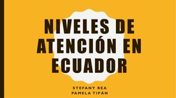NIVELES DE 
ATENCIÓN EN 
ECUADOR
S T E FA N Y  R E A
PA M E L A  T I P Á N
