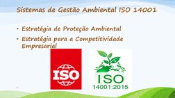 Sistemas de Gestão Ambiental ISO 14001 
 
• Estratégia de Proteção Ambiental  
• Estratégia para a Competitividade 
Empresari
