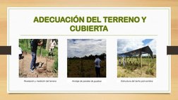 ADECUACIÓN DEL TERRENO Y 
CUBIERTA
Nivelación y medición del terreno
Anclaje de parales de guadua
Estructura del techo poli-s
