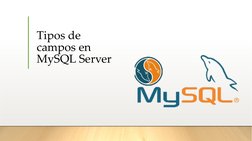 Tipos de 
campos en 
MySQL Server
