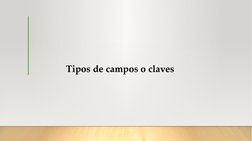Tipos de campos o claves
