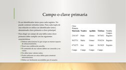 Campo o clave primaria
• Es un identificador único para cada registro. No 
puede contener entradas nulas. Para cada tupla de