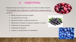 II.OBJETIVOS::
El presente trabajo de investigación consiste en realizar un estudio exhaustivo 
sobre el arándano. Para su el
