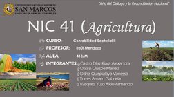 NIC 41 (Agricultura) 
CURSO:              Contabilidad Sectorial II 
PROFESOR:       Raúl Mendoza  
AULA:                   4