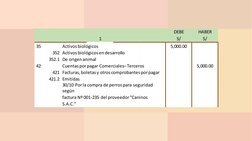 DEBE  
HABER  
  
  
1 
  
  
S/ 
S/ 
35 
Activos biológicos 
  
  
5,000.00 
  
352 Activos biológicos en des