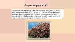 Una empresa agrícola siembre 1 000 árboles frutales con un valor S/. 45  por 
árbol al inicio del periodo (S/.45 x  1 000= S/