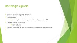 Morfologia agrária 
Campos de média e grande dimensão
Latifundiários
Exploração agrícola de grande dimensão, superior a 50