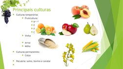 Principais culturas 
Culturas temporárias
Fruticultura:
Maçã
Pêssego
Pêra
Citrinos
Vinha
Arroz
Milho
Culturas perma
