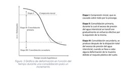 Etapa I: Compresión inicial, que es 
causada sobre todo por la precarga.
Etapa II: Consolidación primaria, 
durante la cual e
