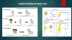 CONDITIONING IN DAILY LIFE

