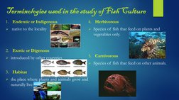 Fish Terminologies Phases and Importance of Fish Culture | PDF | Spawn (Biology) | Fish