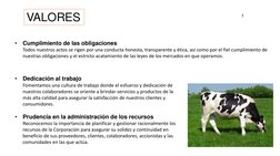 VALORES
•
Dedicación al trabajo
Fomentamos una cultura de trabajo donde el esfuerzo y dedicación de 
nuestros colaboradores s