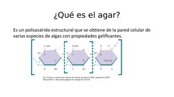 ¿Qué es el agar?
Es un polisacárido estructural que se obtiene de la pared celular de 
varias especies de algas con propiedad