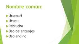 Nombre común:
Ucumari
Ucucu
Pablucha
Oso de anteojos
Oso andino
