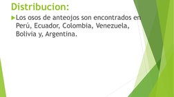 Distribucion:
Los osos de anteojos son encontrados en 
Perú, Ecuador, Colombia, Venezuela, 
Bolivia y, Argentina.
