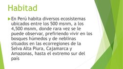Habitad
En Perú habita diversos ecosistemas 
ubicados entre los 500 msnm, a los 
4,500 msnm, donde rara vez se le 
puede obs