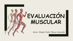 EVALUACIÓN 
MUSCULAR
Alum. Sheyla Paola Páucar Quevedo
