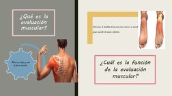 ¿Qué es la 
evaluación 
muscular?
Método que define y mide 
la fuerza muscular. 
Determinar la habilidad del paciente para co