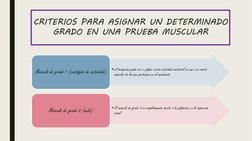 •el terapeuta puede ver o palpar cierta actividad contráctil en uno o en varios 
músculos de los que participan en el movimie