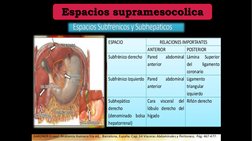 Espacios supramesocolica

